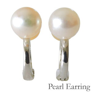 y10%OFF 12/11 1:59܂ŁzCO {^ Vo[ 7mm mz[sAX C[Jt 2t fB[X AR earl ۏ؏t  Ԃ牺  ig lC JW