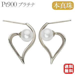 y|Cg10{ 12/11 1:59܂Łzp[ sAX p[sAX n[gsAX ^sAX v`i pt900 {^  AR n[g yA jZbNX  lC  v[g Mt