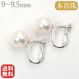 y|Cg10{zp[ CO ^CO  9-9.5mm p[ Vo[ {^ AR  fB[X   Ԏ싉̏Ƃ tH[}   v[