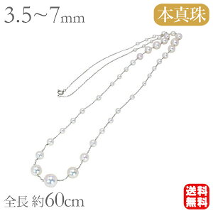 y|Cg10{z^ lbNX p[ Xe[VlbNX v`i OlbNX 60cm {^ AR earl EȒP JWA fB[X lC  ig v[