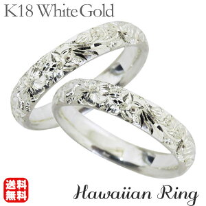 y܃|Cg10{IzO nCAO hawaiian ring ԂƔg[t b k18zCgS[h yAO yA JWA lC  gh v[g Mtg WG