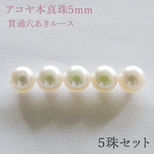 p[[X ^샋[X {^ p[ 5mm AR   ђʌ p[c ޗ ۋ nhChp |p 5Zbg  Ntg p[c  lC v[g Mtg WG