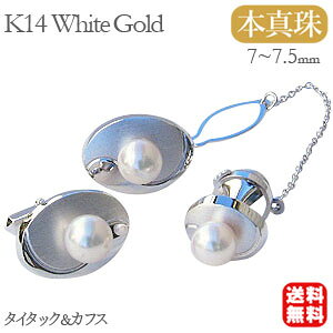 y|Cg10{z^ p[ ^C^bN JtX Zbg {^ 7-7.5mm zCgS[h Y AEj lC  JWA gh v[g Mtg WG[ ubN