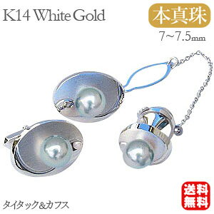 y|Cg10{zY ^p[ ^Cs ^C^bN JtX Zbg ^ k14zCgS[h Y AEj lC  JWA gh v[g Mtg WG[ 