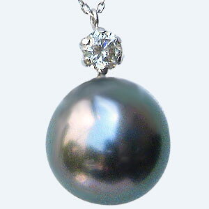 y|Cg10{z^ p[ y_glbNX ^q`^ 10mm v`i  lC  JWA gh v[g Mtg WG[ ubNtCf[