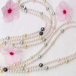 AR{^ }`OlbNX p[ lbNX 4.5mm-5mm {^ NXv  fB[X  Zj[ tH[} JWA lC v[g Mtg WG