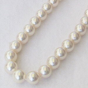 p[lbNX ^lbNX p[ lbNX ^ lbNX {^ AR  7.5mm-8mm Vo[   V tH[} JWA v[g Mtg WG[ 