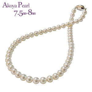 p[ lbNX ^ lbNX p[lbNX ^lbNX  AR {^ 7.5-8mm  iۏ؏  V tH[} JWA v[g Mtg WG[