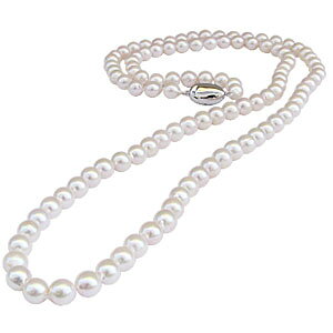 y|Cg10{z10{ {^ S83cm zCgsNn p[OlbNX obN^  fB[X  Zj[ tH[} JWA lC  v