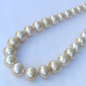 y|Cg10{zlbNX ^p[ m^ a11`16mm CG[n S43cmVVo[NXv OfBG[VlbNX  JWA lC tH[} uC_ v