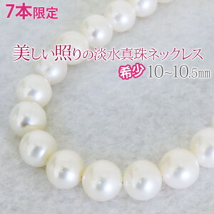 y|Cg10{z^lbNX p[ p[lbNX S43cm Wp[ W^  10-10.5mm fB[X JWA tH[} uC_  gh v[g Mtg W