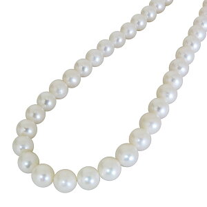 y|Cg10{zp[ lbNX p[lbNX ^lbNX S43cm Wp[ W^ 8.5-9.5mm fB[X tH[} JWA lC uC_  gh v[