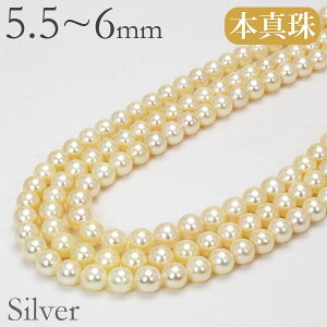 OlbNX p[ lbNX p[lbNX ^lbNX p[OlbNX 140cm {^  AR 5.5-6mm  ig JWA lC  v[g 