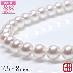 p[ lbNX ^lbNX Ԏ^lbNX Ԏ 7.5-8mm ^쑍 ӕʏt   tH[} JWA T Zj[ [ LO v[g Mtg W