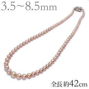 y10%OFF 12/3 20zp[ lbNX ^ lbNX p[lbNX ^lbNX Of[V lbNX Wp[ W^ p[v ig tH[}  v[