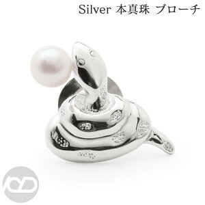 wr ւ   ys su[` sY sob` ^  Vo[ Silver Vv Xl[N x  WF_[X jp jZbNX ^  v[g M