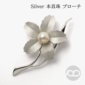 y|Cg10{ 10/27 9:59܂Łzy{^zp[ u[` tH[} Zj[  p[eB[ Vo[ Y ifUC v[g Mtg WG[  