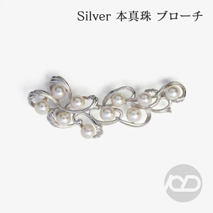 y|Cg10{ 10/27 9:59܂Łzy{^zp[ u[` tH[} Zj[  p[eB[ Vo[ Y ifUC v[g Mtg WG[  