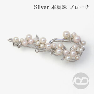 y|Cg10{ 10/27 9:59܂Łzy{^zp[ u[` tH[} Zj[  p[eB[ Vo[ Y ifUC v[g Mtg WG[  