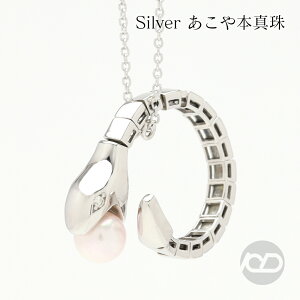 y|Cg10{z{^ lbNX p[ _Ch Vo[ silver sv  wr  x jZbNX  v[g Mtg WG[ ubNtCf[