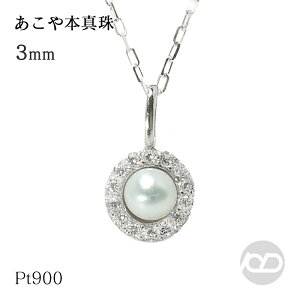 y|Cg10{z^ p[ lbNX  AR 3mm y_glbNX Pt900 v`i _Ch a  v[g Mtg WG[ ubNtCf[