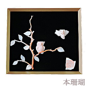 y|Cg10{z X TS R[ coral TS MΉ Y H|i pi zt _ N җj JXj  lC  JWA gh v[g 