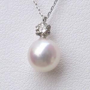 y|Cg10{zAR{^ y_glbNX _Ch p[ 7.5-8mm pt900 v`i AYL`F[t  lC  JWA gh v[g Mtg WG