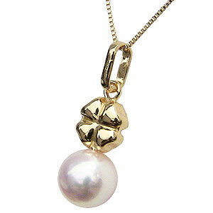 lbNX ^p[ k18S[h y_g p[eB[ lC  JWA gh v[g Mtg WG[ ubNtCf[