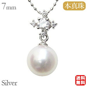 p[ y_g p[lbNX ^y_g ^lbNX L[rbNWRjA Vo[ {^ 7mm AR  fB[X  v[g Mtg WG[ ub