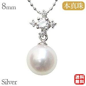 y|Cg10{zp[ y_ggbv _Ch _C Vo[ {^ 8mm AR  fB[X  v[g Mtg WG[ ubNtCf[