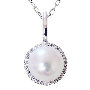 y|Cg10{z^ lbNX p[ lbNX VvȐ^́^ {^ k18 zCgS[h _Ch pAYL`F[ AWX^[Jt  lC JW