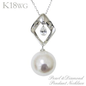 y|Cg10{z^ lbNX p[ lbNX [U[z[ Ђ` I[Ԏ삠{^ 9mm _Ch k18zCgS[h fB[X lC  gh v[g