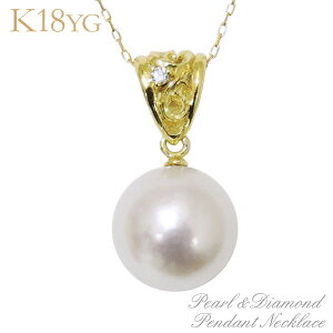 y|Cg10{z^ lbNX lbNX gCAO^ {^jJfUC I[Ԏ삠{^ 9mm _Ch k18CG[S[h fB[X lC  JWA 