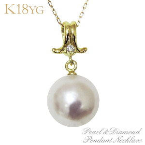 y|Cg10{z^ lbNX lbNX A`[t I[Ԏ삠{^ 9mm _Ch k18CG[S[h fB[X  JWA gh v[g Mtg W