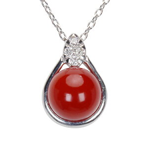 y|Cg10{zlbNX Y fB[X TS k18 18 X _Ch lbNX zCgS[h ԎX  {Y R[ TSlbNX 3a H ۋ V