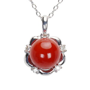 y|Cg10{zlbNX fB[X TS k18 18 X _Ch lbNX zCgS[h ԎX  {Y R[ TSlbNX 3a H ۋ ig l