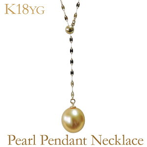 m^ y_glbNX k18CG[S[h 10mm fB[X ۏ؏t  lC  JWA gh v[g Mtg WG[ nEB