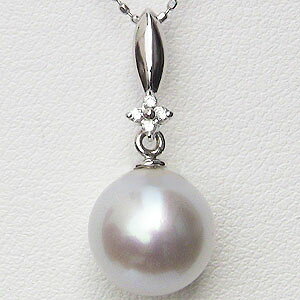 y10%OFF 12/11 1:59܂Łz^ p[ m^ 10mm y_ggbv wbh zCgS[h  lC  JWA gh v[g Mtg WG[ NX}X