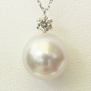 y|Cg10{zm^ y_glbNX _Ch p[ 10mm pt900 v`i `F[t  lC  JWA gh v[g Mtg WG[ ub