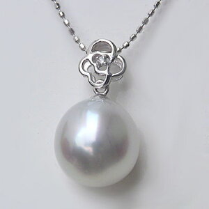 y|Cg10{zm^ y_glbNX _Ch p[ 10mm sNn k18 zCgS[h Jbg{[`F[t  lC  JWA gh v[