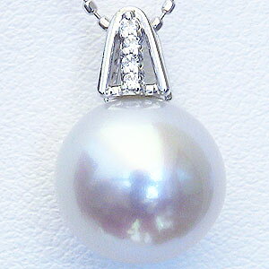 y10%OFF 12/3 20z^ p[ y_ggbv m^ v`i pt900 lC  JWA gh v[g Mtg WG[ NX}X