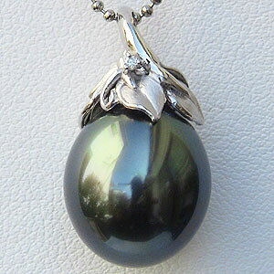 y|Cg10{z^ p[ y_ggbv wbh ^q`^ 12mm zCgS[h k18 lC  JWA gh v[g Mtg WG[ ubNtCf[