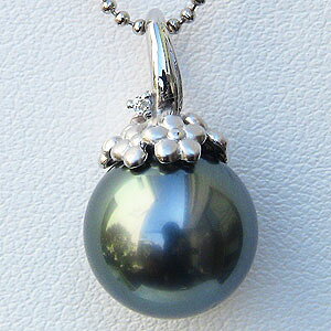 y10%OFF 12/3 20z^ p[ y_ggbv ^q`^ 11mm t[ԃ`[t lC  JWA gh v[g Mtg WG[ NX}X