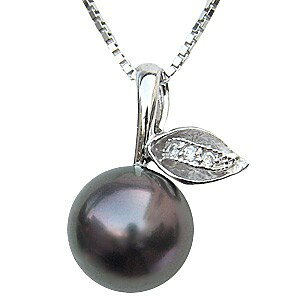 y_ggbv _C lbNXy_g ^p[ pt900v`ilbNX _Ch lC  JWA gh v[g Mtg WG[ NX}X