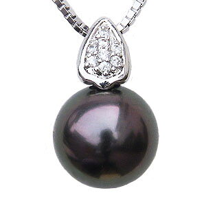 y_ggbv _C ^p[ pt900v`ilbNX _Ch lC  JWA gh v[g Mtg WG[ nEB