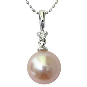 y|Cg10{zlbNX y_ggbv _C Wp[ ΐ^ _Ch zCgS[h lbNX y_g lC  JWA gh v[g Mtg 