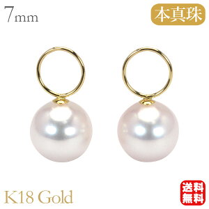 y|Cg10{z`[ p[`[ ^`[  AR sAXp`[ AW 18 CG[S[h k18 18k {^ 7mm ֗ȃ`[  v[g Mtg W