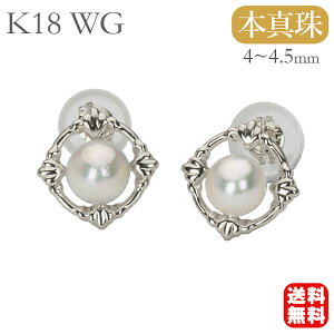 p[ sAX ^sAX jZbNX WF_[X X^bhsAX yA k18 18k 18 zCgS[h {^ AR  4mm  JWA v[g Mtg WG[ n