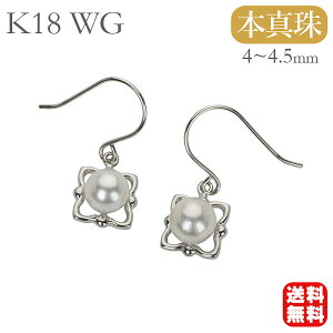 p[ sAX ^ Y tbNsAX yA k18 18k 18 zCgS[h {^ AR  JWA lC  v[g Mtg WG[ ubNtCf[