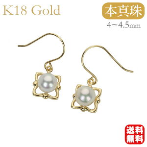 p[ sAX ^ sAX p[sAX ^sAX tbNsAX yA p[tbNsAX k18 18k 18 CG[S[h {^ AR   JWA lC  v[